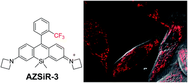 Graphical abstract: Near-infrared probes based on fluorinated Si-rhodamine for live cell imaging