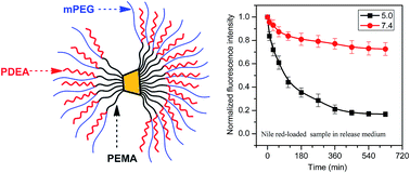 Graphical abstract: A cyclodextrin-core star copolymer with Y-shaped ABC miktoarms and its unimolecular micelles