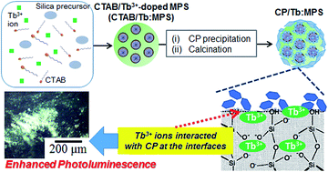 Graphical abstract: Hybrid preparation of terbium(iii)-doped mesoporous silica particles with calcium phosphates