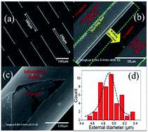 Graphical abstract: Realization of uniaxially strained, rolled-up monolayer CVD graphene on a Si platform via heteroepitaxial InGaAs/GaAs bilayers