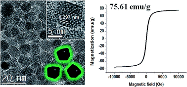 Graphical abstract: One pot synthesis of amine-functionalized and angular-shaped superparamagnetic iron oxide nanoparticles for MR/fluorescence bimodal imaging application