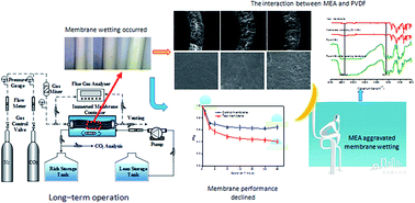 Graphical abstract: Wetting mechanism of a PVDF hollow fiber membrane in immersed membrane contactors for CO2 capture in the presence of monoethanolamine