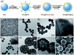 Graphical abstract: Polyethyleneimine-mediated seed growth approach for synthesis of silver-shell silica-core nanocomposites and their application as a versatile SERS platform