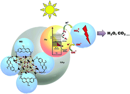 Graphical abstract: Plasmon induced enhanced photocatalytic activity of gold loaded hydroxyapatite nanoparticles for methylene blue degradation under visible light