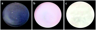 Graphical abstract: Fabrication and characterization of nanocomposite film made from a jackfruit filum polysaccharide incorporating TiO2 nanoparticles by photocatalysis