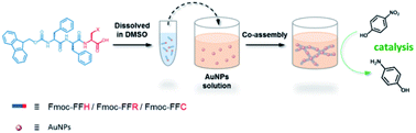 Graphical abstract: Co-assembly of Fmoc-tripeptide and gold nanoparticles as a facile approach to immobilize nanocatalysts