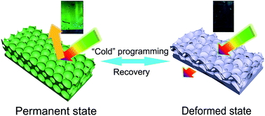 Graphical abstract: Reconfigurable photonic crystals with optical bistability enabled by “cold” programming and thermo-recoverable shape memory polymers