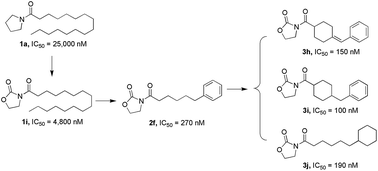 Graphical abstract: Design, synthesis, and biological evaluation of oxazolidone derivatives as highly potent N-acylethanolamine acid amidase (NAAA) inhibitors