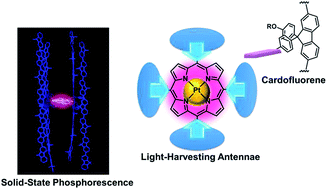 Graphical abstract: Construction and properties of a light-harvesting antenna system for phosphorescent materials based on oligofluorene-tethered Pt–porphyrins