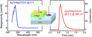 Graphical abstract: A self-powered solar-blind ultraviolet photodetector based on a Ag/ZnMgO/ZnO structure with fast response speed