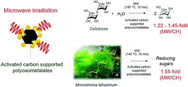 Graphical abstract: Microwave-assisted hydrolysis of biomass over activated carbon supported polyoxometalates