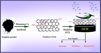 Graphical abstract: A facile graphene oxide based sensor for electrochemical detection of prostate anti-cancer (anti-testosterone) drug flutamide in biological samples