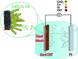 Graphical abstract: Microstructure, morphology and electrochemical properties of Co nanoflake water oxidation electrocatalyst at micro- and nanoscale