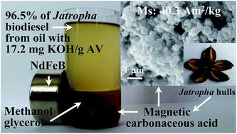 Graphical abstract: Synthesis of magnetic carbonaceous acids derived from hydrolysates of Jatropha hulls for catalytic biodiesel production