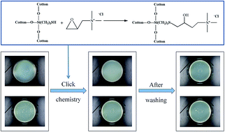 Graphical abstract: Durable antibacterial finishing of cotton fabric based on thiol–epoxy click chemistry