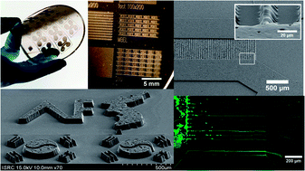 Graphical abstract: Fabrication of functional 3D multi-level microstructures on transparent substrates by one step back-side UV photolithography