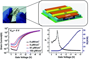 Graphical abstract: Flexible and low-voltage organic phototransistors