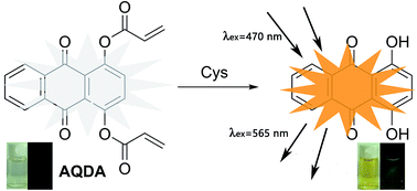 Graphical abstract: A simple colorimetric and fluorescent probe with high selectivity towards cysteine over homocysteine and glutathione