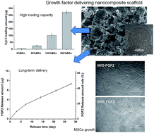 Graphical abstract: Ultrahigh protein adsorption capacity and sustained release of nanocomposite scaffolds: implication for growth factor delivery systems