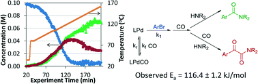 Graphical abstract: Kinetics analysis and automated online screening of aminocarbonylation of aryl halides in flow