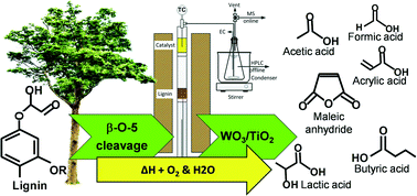 Graphical abstract: Gas–solid conversion of lignin to carboxylic acids