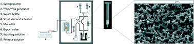 Graphical abstract: Monolith-based 68Ga processing: a new strategy for purification to facilitate direct radiolabelling methods