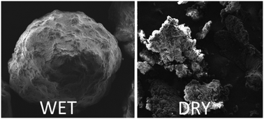 Graphical abstract: Impact of catalyst injection conditions on the gas phase polymerization of propylene