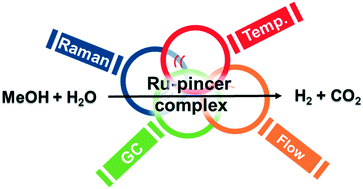 Graphical abstract: Shining light on low-temperature methanol aqueous-phase reforming using homogeneous Ru-pincer complexes – operando Raman-GC studies