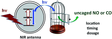 Graphical abstract: From curiosity to applications. A personal perspective on inorganic photochemistry