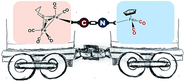 Graphical abstract: Cyanide-bridged iron complexes as biomimetics of tri-iron arrangements in maturases of the H cluster of the di-iron hydrogenase