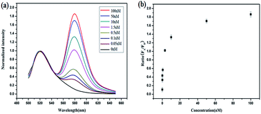 Graphical abstract: Fluorescence resonance energy transfer-based hybridization chain reaction for in situ visualization of tumor-related mRNA