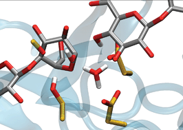 Graphical abstract: Who's on base? Revealing the catalytic mechanism of inverting family 6 glycoside hydrolases