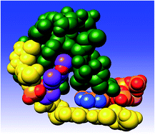 Graphical abstract: Lesion orientation of O4-alkylthymidine influences replication by human DNA polymerase η