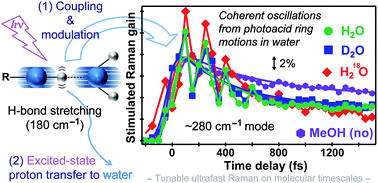 Graphical abstract: Panoramic portrait of primary molecular events preceding excited state proton transfer in water