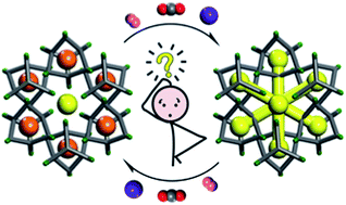 Graphical abstract: Understanding static, dynamic and cooperative porosity in molecular materials