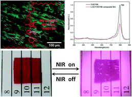 Graphical abstract: A calamitic mesogenic near-infrared absorbing croconaine dye/liquid crystalline elastomer composite