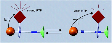 Graphical abstract: A room temperature phosphorescence encoding [2]rotaxane molecular shuttle