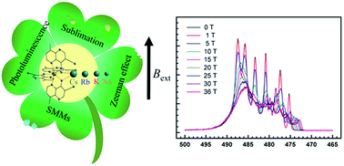 Graphical abstract: Thermostability and photoluminescence of Dy(iii) single-molecule magnets under a magnetic field