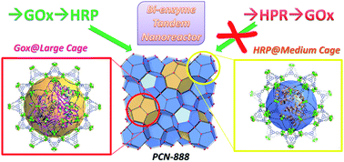 Graphical abstract: Coupling two enzymes into a tandem nanoreactor utilizing a hierarchically structured MOF