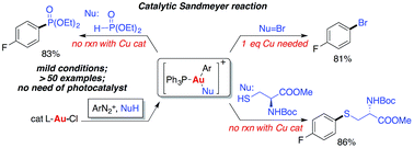 Graphical abstract: Nucleophile promoted gold redox catalysis with diazonium salts: C–Br, C–S and C–P bond formation through catalytic Sandmeyer coupling