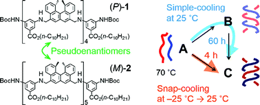 Graphical abstract: Multiple competing pathways for chemical reaction: drastic reaction shortcut for the self-catalytic double-helix formation of helicene oligomers