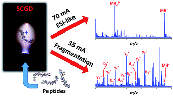 Graphical abstract: Atmospheric-pressure ionization and fragmentation of peptides by solution-cathode glow discharge