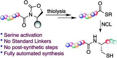Graphical abstract: Serine promoted synthesis of peptide thioester-precursor on solid support for native chemical ligation