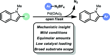 Graphical abstract: Mild and selective base-free C–H arylation of heteroarenes: experiment and computation