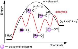 Graphical abstract: Mononuclear ruthenium polypyridine complexes that catalyze water oxidation