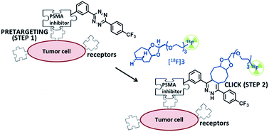 Graphical abstract: Micro-flow photosynthesis of new dienophiles for inverse-electron-demand Diels–Alder reactions. Potential applications for pretargeted in vivo PET imaging