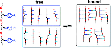 Graphical abstract: Homochiral oligomers with highly flexible backbones form stable H-bonded duplexes