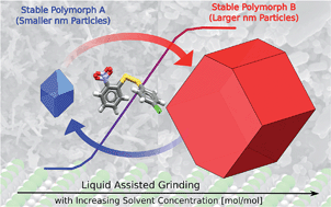 Graphical abstract: Solvation and surface effects on polymorph stabilities at the nanoscale