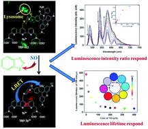 Graphical abstract: Development of a novel lysosome-targetable time-gated luminescence probe for ratiometric and luminescence lifetime detection of nitric oxide in vivo