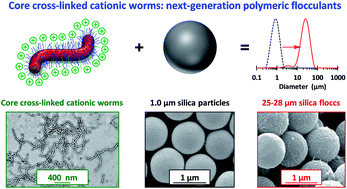 Graphical abstract: Cross-linked cationic diblock copolymer worms are superflocculants for micrometer-sized silica particles